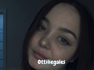Ottiliegales