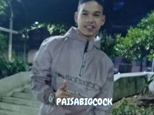 PAISABIGCOCK