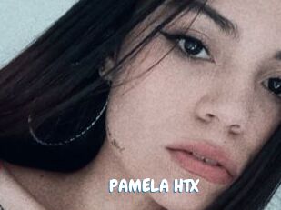 PAMELA_HTX