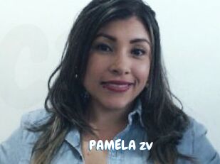 PAMELA_zv
