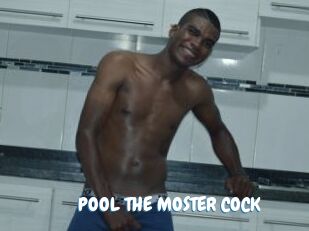 POOL_THE_MOSTER_COCK
