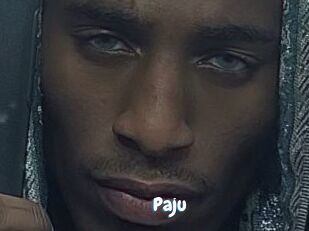 Paju