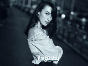 PaleDaisy Coquine Avenue