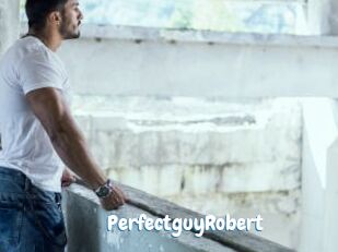 PerfectguyRobert