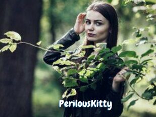 Perilous_Kitty
