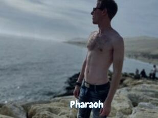Pharaoh
