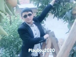 Playboy2020