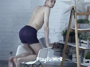 PlayfulMrR