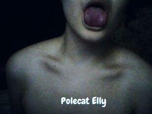 Polecat_Elly