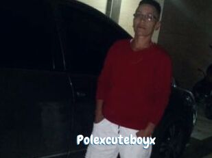 Polexcuteboyx