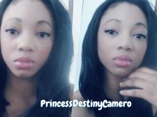 PrincessDestinyCamero