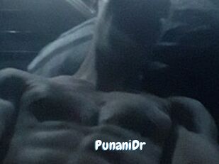 PunaniDr