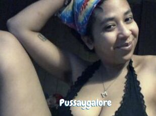 Pussaygalore
