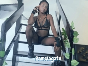 Pamelagate