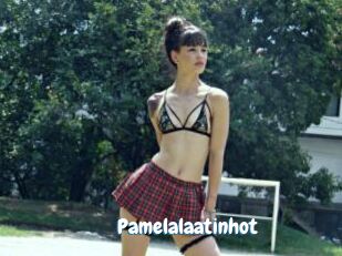 Pamelalaatinhot