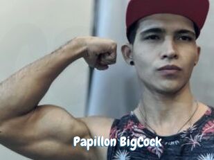Papillon_BigCock