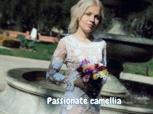 Passionate_camellia