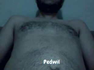Pedwil