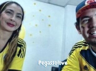 Pegasso_love