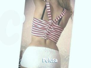 Pelusa