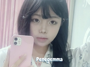 penegemma Coquine Avenue