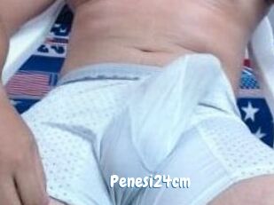 Penesi24cm