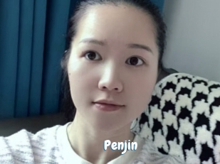 Penjin