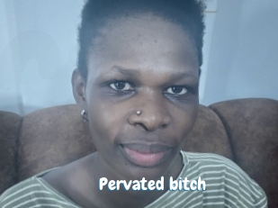 pervated_bitch Coquine Avenue