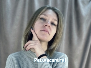 Petulacantrill