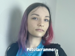 petulacrammer Coquine Avenue