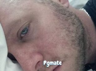 Pgmate