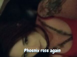Phoenix_rose_again