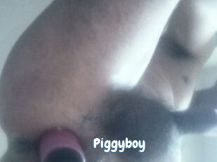 Piggyboy
