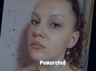 Pinkorchid