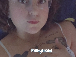 Pinkysnake