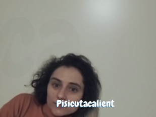 Pisicutacalient
