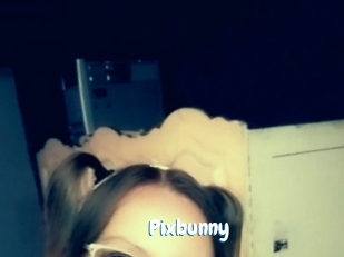 Pixbunny