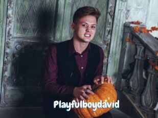 Playfulboydavid