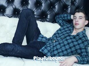 Playfulboynoi