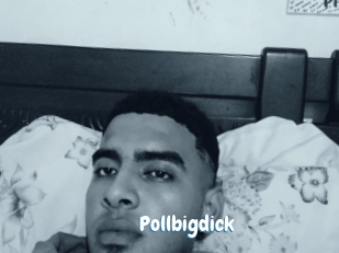 pollbigdick Coquine Avenue