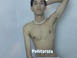 Pollitorosa