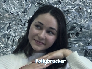 Pollybrucker