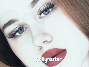 Pollynaster