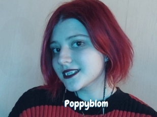 Poppyblom
