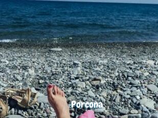 Porcona