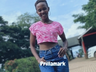 Prillamark
