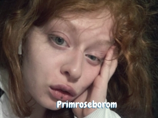 Primroseborom