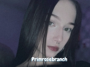 Primrosebranch