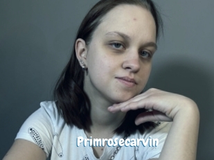 Primrosecarvin