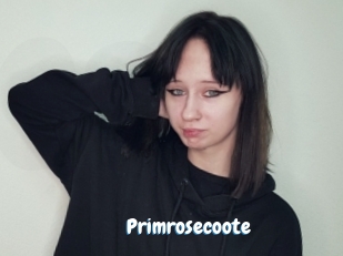 Primrosecoote